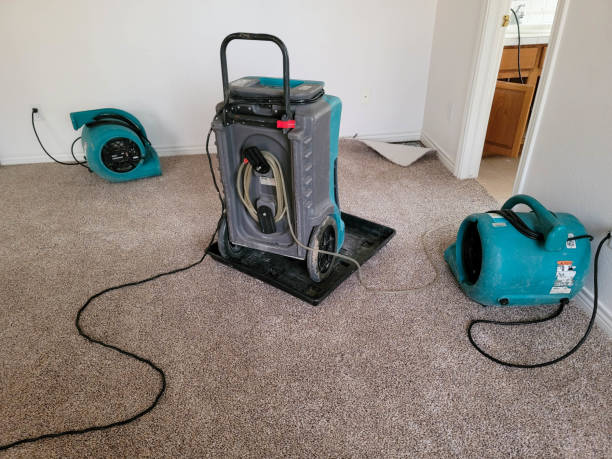Best Sewage cleanup and water damage restoration  in Union Gap, WA
