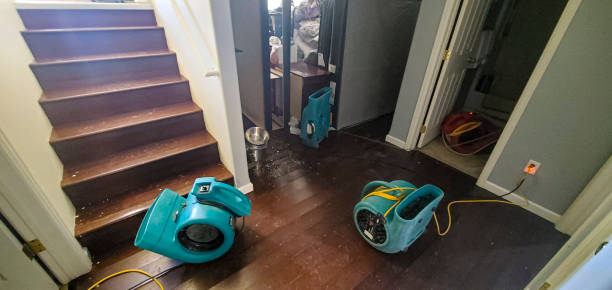 Best Fire Damage Restoration  in Union Gap, WA