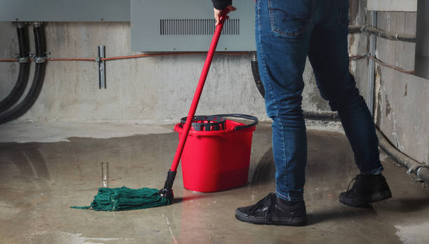 Best Water damage restoration near me  in Union Gap, WA