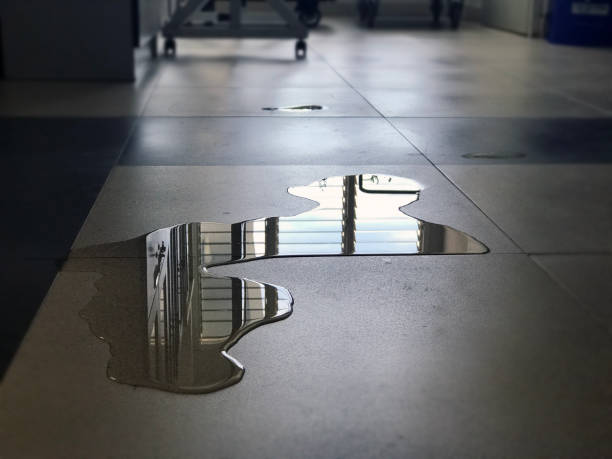 Best 24-hour water damage restoration  in Union Gap, WA