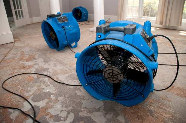 Best Water damage restoration specialists  in Union Gap, WA