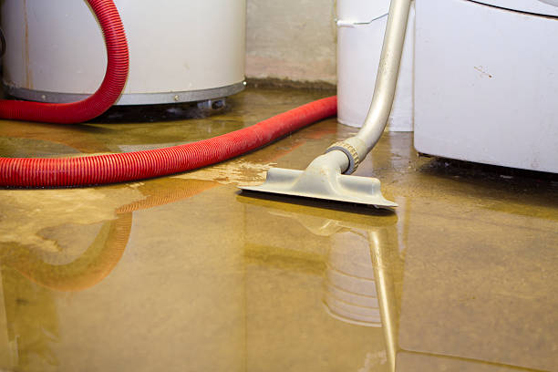 Best Mold removal after water damage  in Union Gap, WA