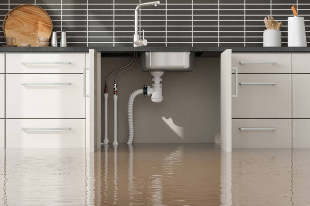 Professional Water damage restoration in Union Gap, WA